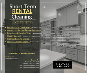 Professional short-term cleaning services flyer for 2024 rentals and properties.
